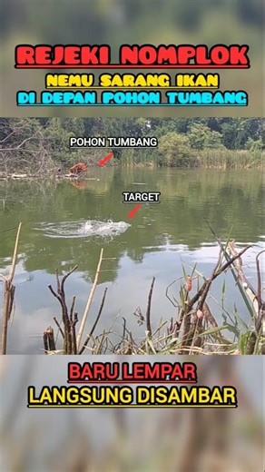 This is what happens when you fish too fast in the right place #shorts