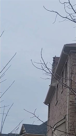 Incredible landing part seventeen - blackbirds. #shorts