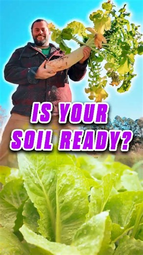 This soil mistake wastes months of growth