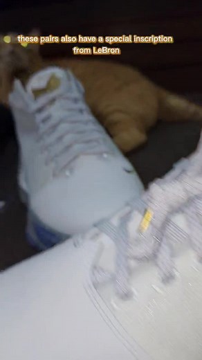 39K views · 323 reactions | NEW LeBron 19 low 'Beyond the Seas' advance drop coming to #Titan22 Titan 22  When In Manila Sports When In Manila Style & Beauty #WIMstyle #WIMsports #lebron19 #lebronjames #lebronbeyondtheseas #nikelebron #lebron #lebronnike #wheninmanila | When In Manila | Facebook