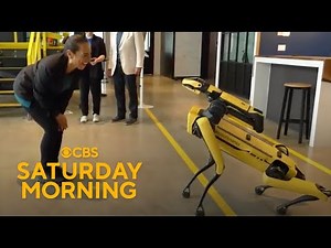 Marathon: Robots & AI