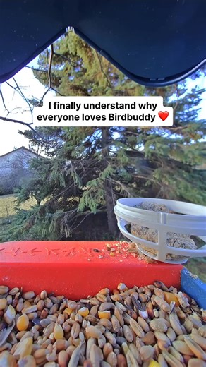  It’s here — Birdbuddy’s Black Friday Sale! Get up to 50% OFF the world’s first smart bird feeder   Capture stunning HD photos & videos  Get real-time alerts when birds visit  Identify 1000+ species automatically Thousands of bird lovers already use Birdbuddy to reconnect with nature — now’s your turn. Hurry — this deal ends soon! | Birdbuddy | Facebook
