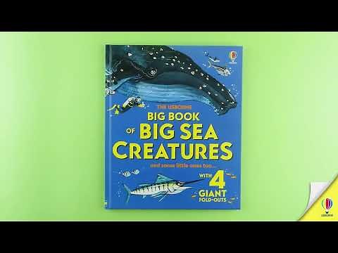 Big Book of Big Sea Creatures 🦑The biggest, fastest and most ferocious creatures in the ocean