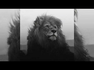 Better Off Alone Jumpstyle