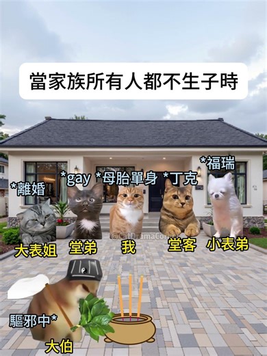 【😺CatDramaCorner】當家族所有人都不生子時 #cat #貓meme小劇場 #00後 #shorts #shortvideo #funny cat videos