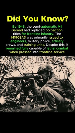Why M1903A3 Was Issued to Support Troops in WW2 #ww2history #WW2USArmy #springfieldrifle #M1903A3