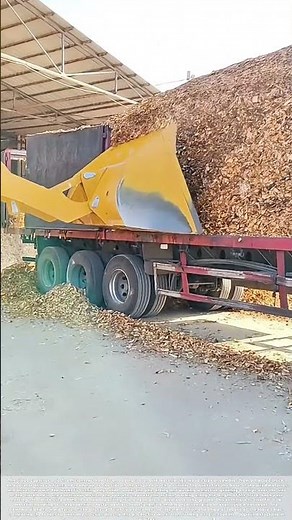 Scraping the Load: How a Bucket Unloads a Mountain of Chips