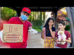 SOMEONE LEFT THIS AT OUR DOORSTEP AGAIN... **SCARY**