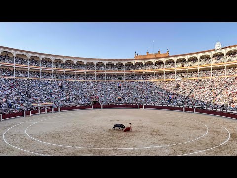 Bullfighting at Las Ventas | Tradition, Ritual & History in Madrid’s Iconic Plaza de Toros