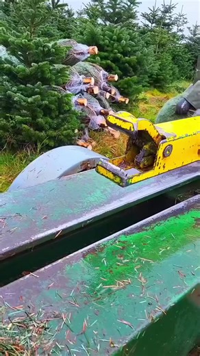 Exploring a Factory Tour: Work From Home Insights