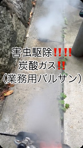 株式会社マルックス | 大阪府箕面市で害虫駆除‼️ ゴキブリ＋ムカデ駆除行ってきました‼️ 炭酸ガス（業務用バルサン）を床下に噴霧する事によりまとめて害虫駆除できます‼️ 害虫でお困りの方は株式会社マルックスにお電話よろしくお願いします‼️... | Instagram