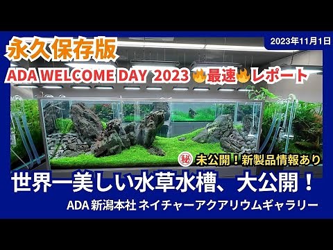 最速レポート最新版！ADAネイチャーアクアリウムギャラリー新潟本社の世界一美しい水草水槽たちを大公開（解説付）！未発売の新製品情報有り、水草レイアウト水槽、水草水槽、作り方、立ち上げ方、初心者、熱帯魚