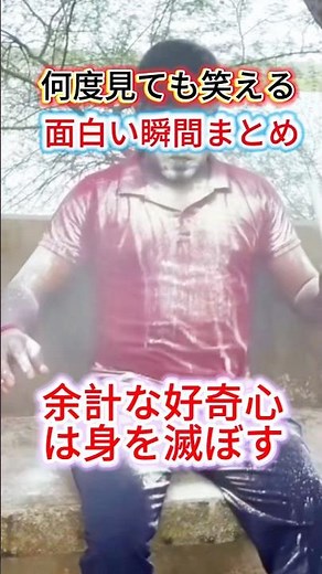 何度見ても笑える面白い瞬間まとめ #元気になる動画 #面白集 #面白い #すごい #爆笑 #看一遍笑一遍