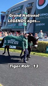 9.9K views · 1.6K reactions | These guys are looking so well 朗 Five previous Randox Grand National winners parading at Aintree  #horseracing #horsesofinstagram #grandnational | The Jockey Club | Facebook