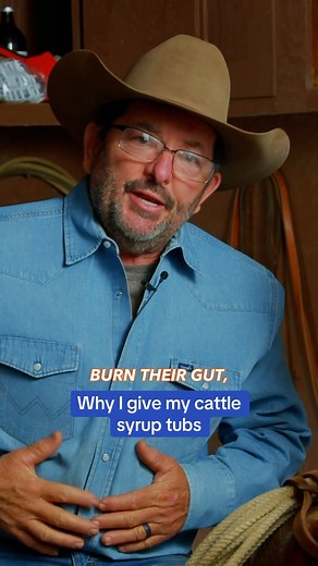 Syrup tubs are a great option for a lot of situations you may find yourself in. It’s a great way to get protein and nutrients into your cattle, especially when they’re somewhere that the grass might not have the right amount of nutrients for them. #rutherfordlandandcattle #cattle #agriculture #agribusiness #farmlife #ranchlife #cows #aggear #farmlife #farmanimals | Rutherford Cattle