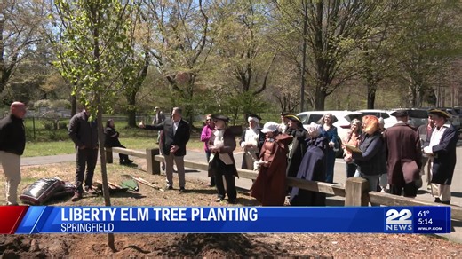 Springfield plants Liberty Elm to mark US 250th birthday