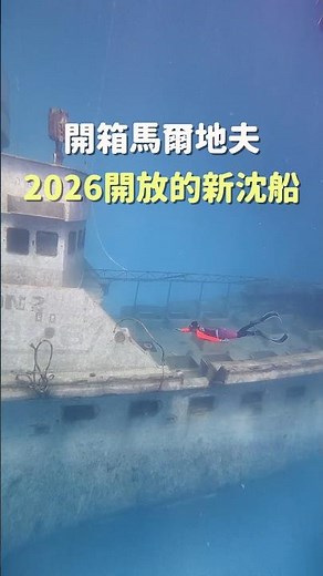 開箱馬爾地夫2026開放的新沈船 #自由潛水 #馬爾地夫 #潛水旅遊