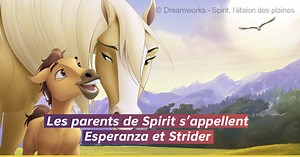 Spirit : 10 choses que vous ne saviez pas sur le film - Equestrian News
