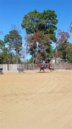 calf roping practice