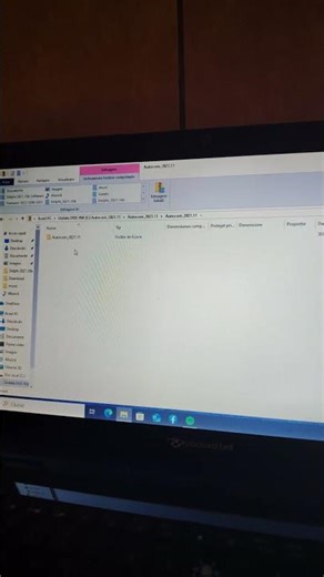 #Delphi problema instalare