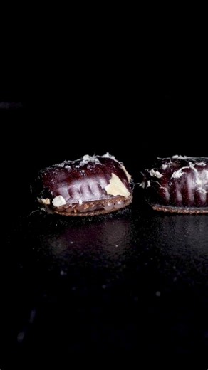 This one is wild! It took me close to a month of planning and weeks of shooting to capture this sequence of an American cockroach egg case hatching in timelapse! #bugsoftiktok #entomology #scienceismagic #insectsoftiktok