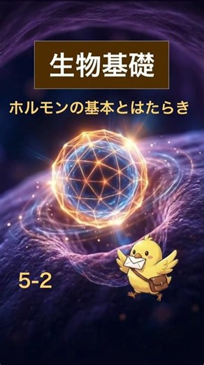 【生物基礎】1秒で答えて！ホルモンの基本とフィードバック7選（第2弾）