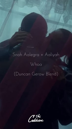 the culdesac on Instagram: "straight off of our last mixtape, @duncan_gerow gave us this incredible @snohaalegra x @aaliyah blend. love when old and new school r&b blend so perfectly. full track is up on soundcloud and youtube via our linktree. #rnb #soul #theculdesac #snohaalegra #aaliyah #mashup"