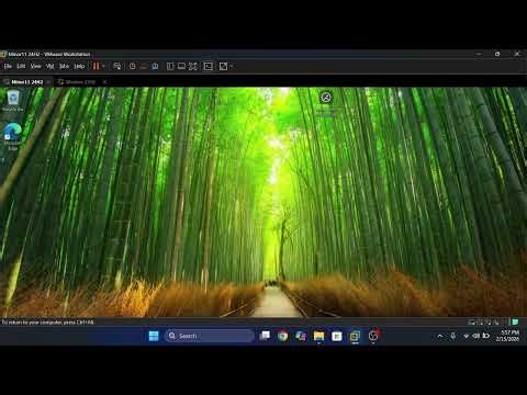 I made a version of Windows 11 that is 7 GB