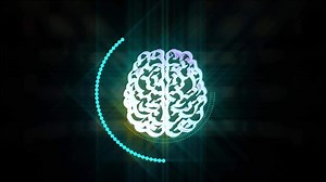Biology Human Brain Intellect 4K animation