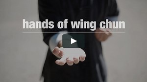 Hands of Wing Chun