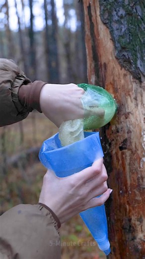 Fur turned into masterpiece by this creative girl! | 5-Minute Crafts