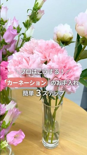 【簡単3ステップ】カーネーション切り花お手入れ方法✨ #フラワースミスマーケット #花のお手入れ #カーネーション