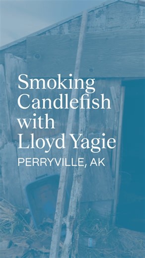 Happy Alaska Native Heritage Month! Step inside BBNC shareholder Lloyd Yagie's smokehouse in Perryville as he talks about the process of smoking candlefish. Brine and smoke the candlefish strips for a day and enjoy it for breakfast. As Lloyd says, "It's better than bacon!" | Bristol Bay Native Corporation