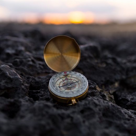 South Pole's mission is true climate impact for all