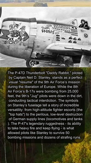 DECODING DADDY RABBIT’S LETHAL TALLY 🛩️