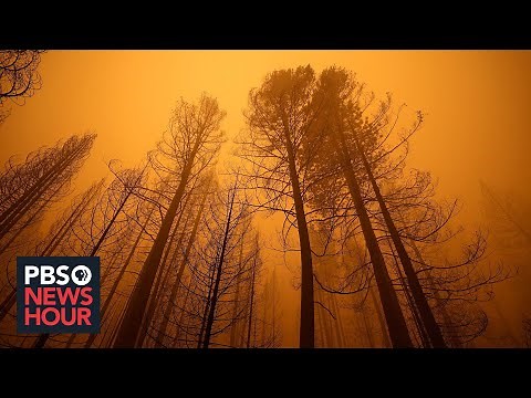 UN releases dire climate report highlighting rapid environmental degradation