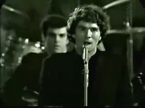 THE SORROWS - Take A Heart (1966)
