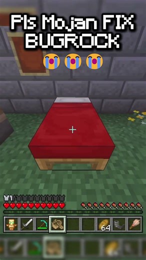 Mojang Refuses to Fix Bugrock 💀