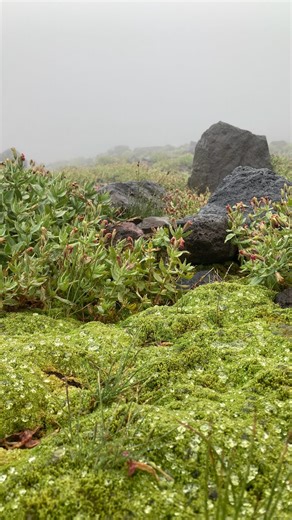 Remington LeMert | Full story: this was supposed to be a usual running away from the camera video…. When this truck came around the corner… fastest 180 I’ve... | Instagram