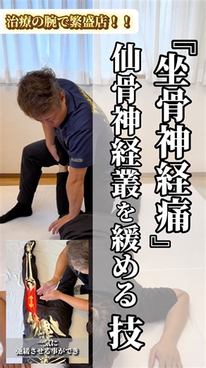 坐骨神経痛は仙骨神経叢と腰神経叢のバランスを上手く取ることが出来れば改善します。 そのためには股関節周囲の筋肉の左右差を揃えることが必須です。 ーーーーーーーーーーーーーーーー @taiichikawaguchi←“構造から診る技術”はプロフィールのリンクから 資料や動画お配りしています！！ こんにちは！ 川口です。 なおせる技術を求めている治療家やセラピストに、 しっかりなおして生活していけるよう、 本物の技術を発信しています。 ※質問などあればいつでもどうぞ！ DMでも大丈夫です。 | 川口太威智
