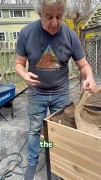 How to improve germination when planting your carrot seeds. Here’s a few tips.