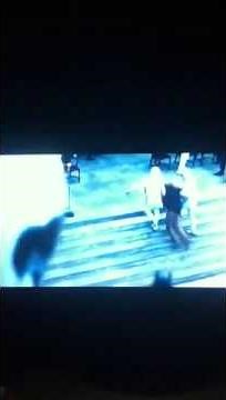 Catching Fire Official Trailer (2013)