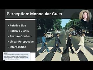 Unit 2A Part 2 Visual Perception