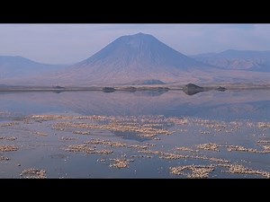The Flamingo Factory at Lake Natron