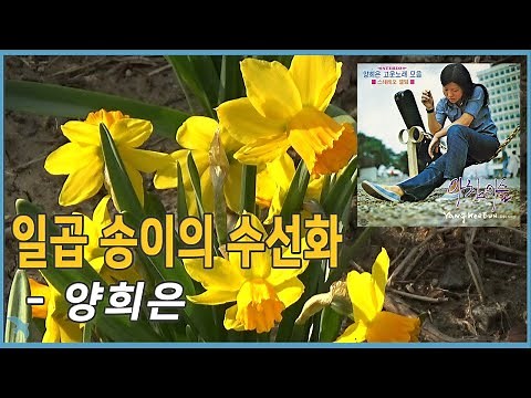 양희은 - 일곱 송이의 수선화 Yang Hee-eun - Seven Daffodils (1971)