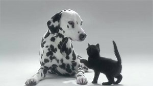 If you care for somebody, have a look at their beauty spots. Become a Skin Checker. | La Roche-Posay