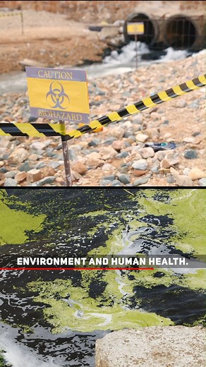 Want to Know how you can SAVE THE WORLD? Know all about Environmental Scientists ! In this video, we'll cover who they are, what they do, what their roles and responsibilities are, as well as their current demand and scope. we'll also talk about some of the most important facts about their career path and what they earn. So if you're looking to know more about Environmental Scientists, comment down below! . . . . #idreamcareer #career #careerguidance #environment #environmentscientist #reels #re