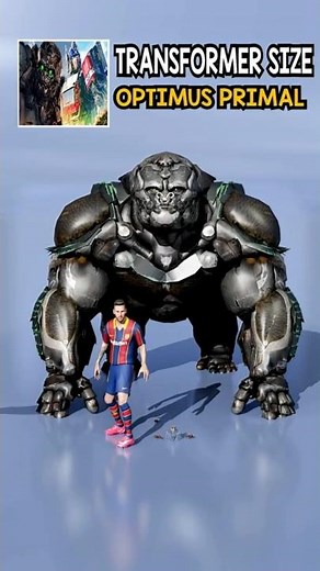 Which Transformer Is The Tallest?