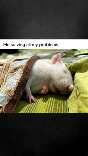 Me solving everything like a pro… 💤💀 #shorts #funny #relatable #memes