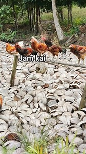 Oi sa boleh inbok #reels | Zaklyn Hiu